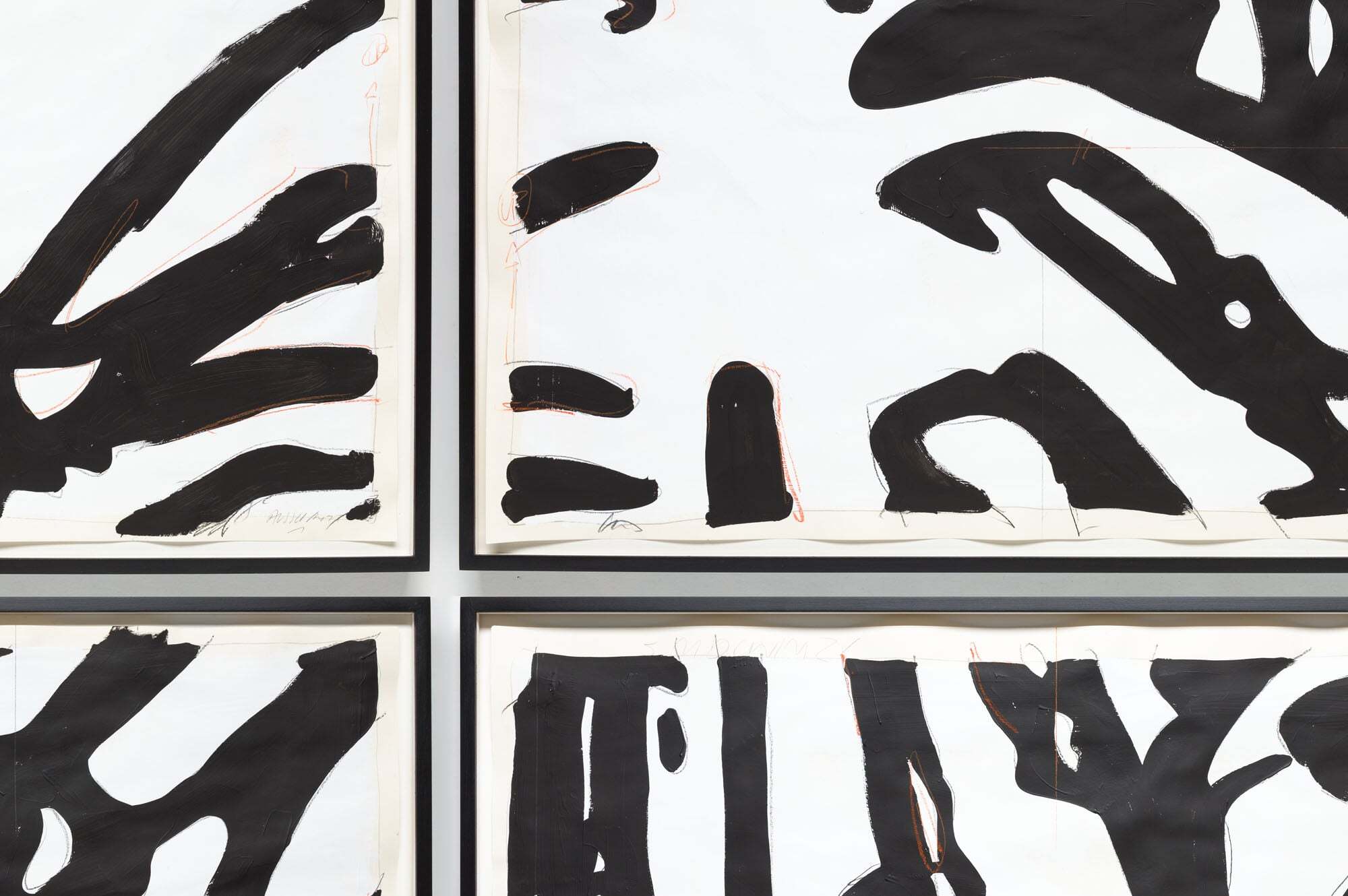 02_Jellitsch Big Palms2