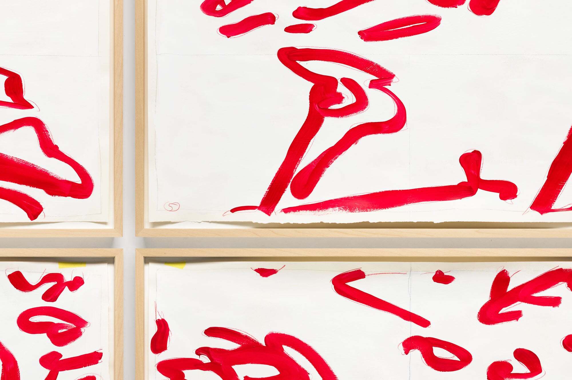 05_Jellitsch Big Palms5