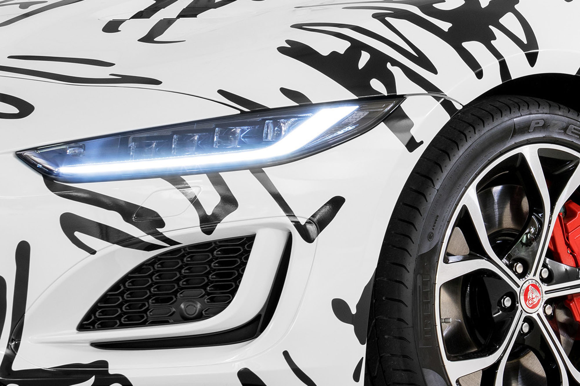 01_Jellitsch Jaguar 5