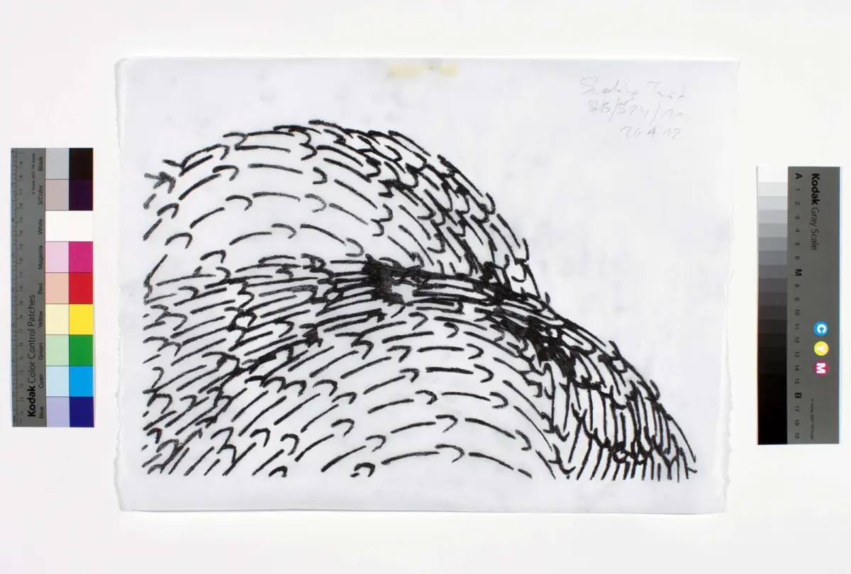 03_STB S14 Test